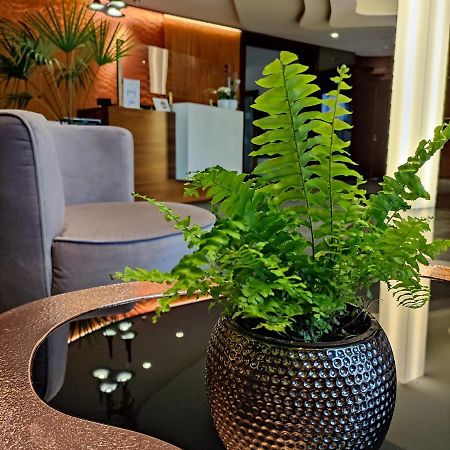 Bazuny Hotel&Spa Kościerzyna Dış mekan fotoğraf
